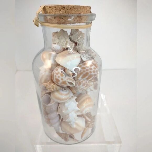 Florida Seashells in Glass Jar with cork Stopper NWOT Handmade Custom Gift - Picture 14 of 16